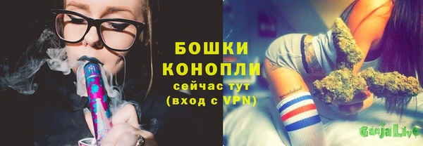 гидра Заволжск