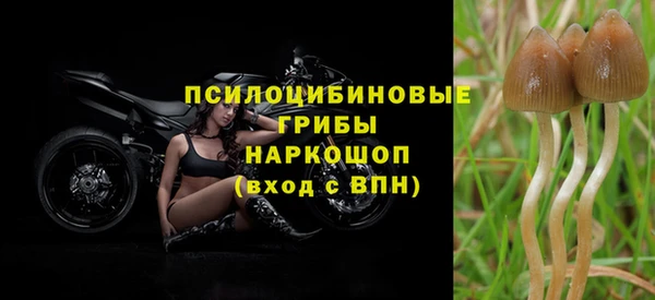 гидра Заволжск