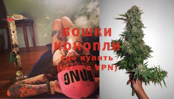 гидра Заволжск