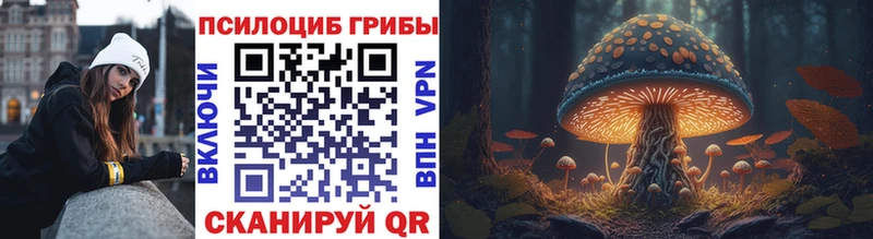 Псилоцибиновые грибы Cubensis  Шацк 